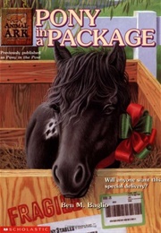 Pony in a Package (Lucy Daniels)
