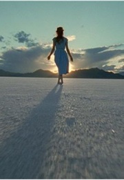 The Tree of Life (2011)