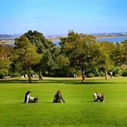Kate Sessions Park