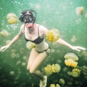 Swim in Jellyfish Lake in Palau