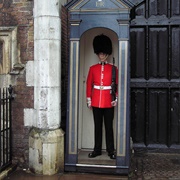 The Queen's Guard
