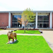 University of Arkansas at Pine Bluff