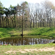 Hill 60, Messines Ridge, Belgium