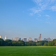 The Great Lawn, Central Park, NYC
