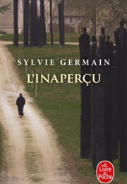 L'inaperçu (Sylvie Germain)