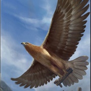 Sultan It-Tajr (Giant Eagle)