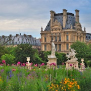 Jardin Des Tuileries, Paris