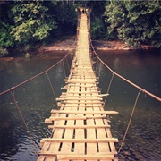 Aralam Wildlife Sanctuary