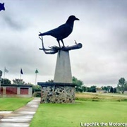 World's Largest Crow