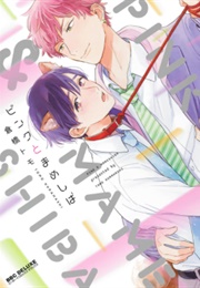 Pink to Mameshiba (Kurahashi Tomo)