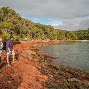 Light to Light Walk, Australia