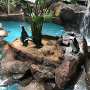Dallas World Aquarium
