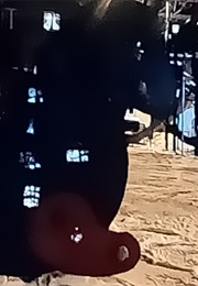 Shadow of the Plague Doctor (Sergey A) (2020)