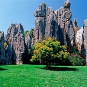 Shilin Stone Forest, China