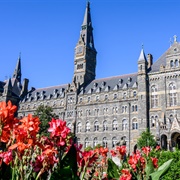 Georgetown University