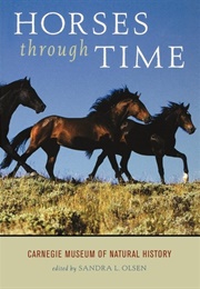 Horses Through Time (Sandra L. Olsen)