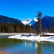 Blue River, BC, Canada