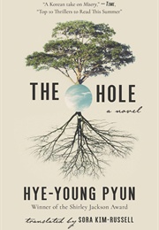 The Hole (Hye-Young Pyun)