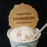 Rice Pudding and Jam Ice Cream