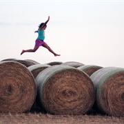 Hay Bale Jumping