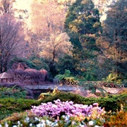 Nishinomaru Garden in  Japan
