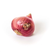 Ugly Red Onion