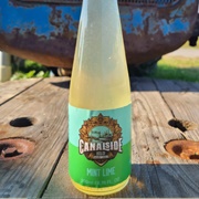 Canalside Soda Co. Mint Lime
