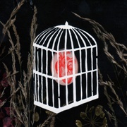 Backseat - Carsie Blanton