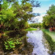 Wekiwa Springs State Park