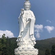 Tsz Shan Monastery