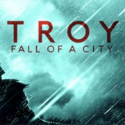 Troy Fall of a City