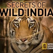 Wild India