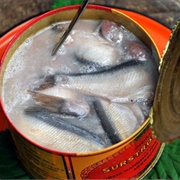 Fermented Herring