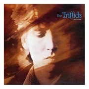 The Triffids - Calenture
