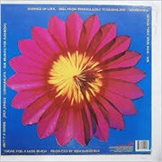 Detour Thru Your Mind - B-52S