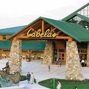 Cabela's