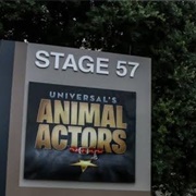 Animal Actors