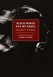 Black Wings Has My Angel (Elliott Chaze)