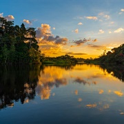 Amazon River &amp; Rainforest, Brazil