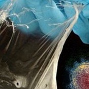 Viral Rebreather Membrane