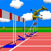 Wild Animal Sports Day