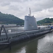 USS Requin
