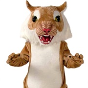 Big Cat Costume