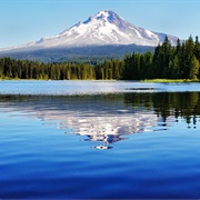 Mount Hood National Forest