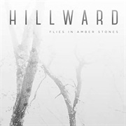 Hillward - Flies in Amber Stones