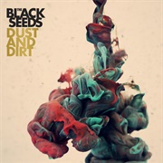 Dust &amp; Dirt - The Black Seeds