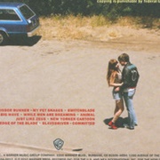 New Yorker Cartoon - Jenny and Johnny