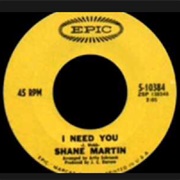 Shane Martin - I Need You