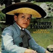 Mi Burrito Sabanero - Pedrito Fernandez