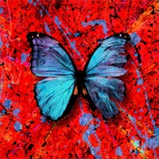 Visiting Hours - Ed Sheeran